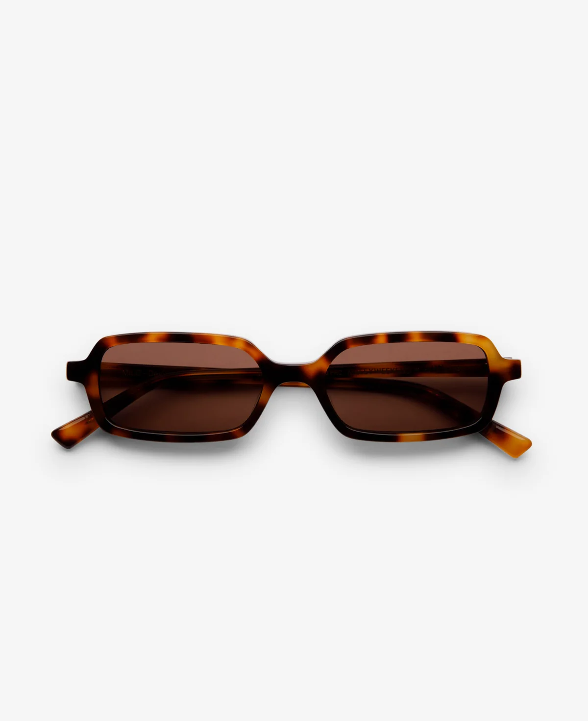 MITORBR_MILO_TORTOISE